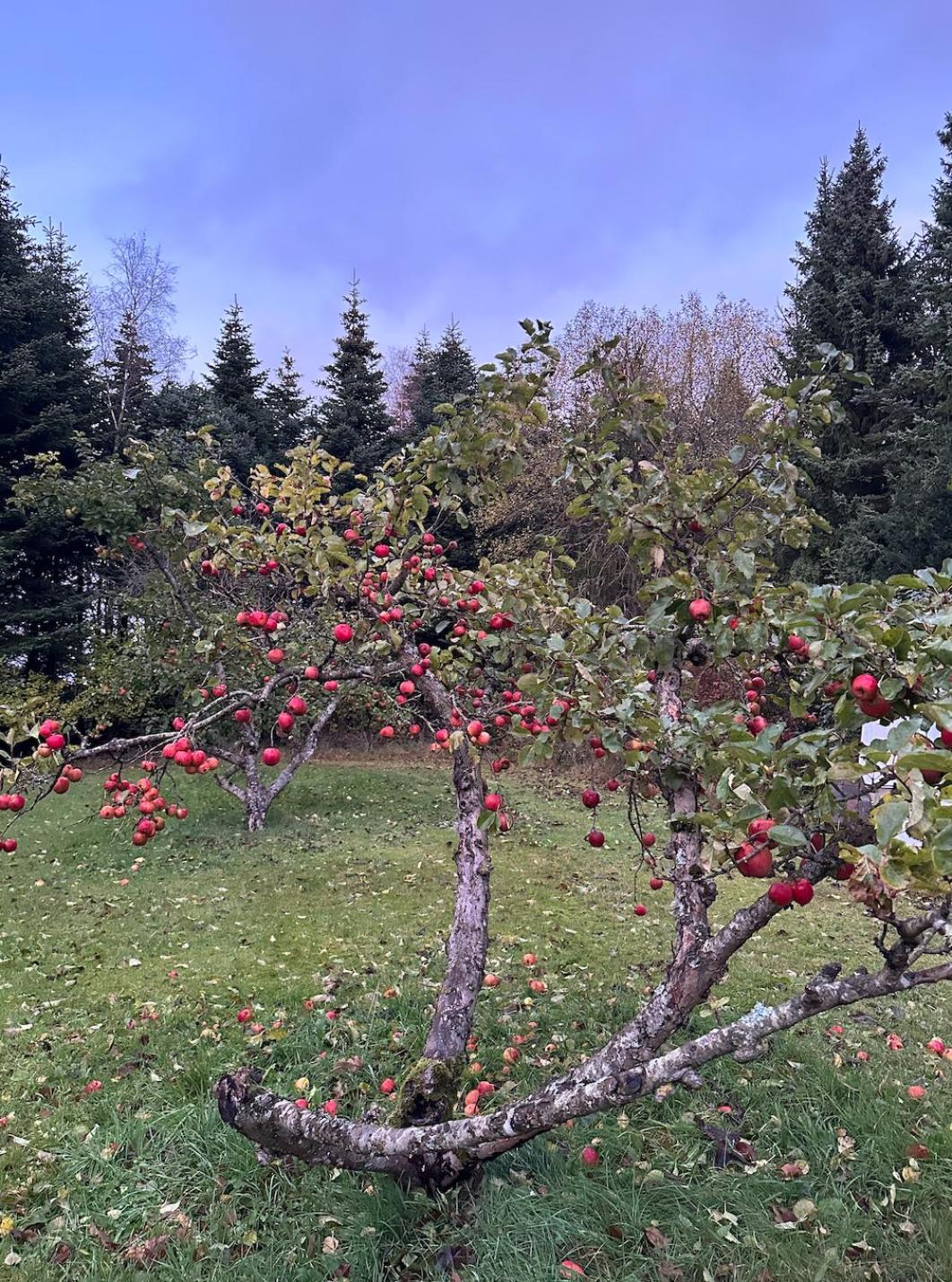 Charmerende Lejlighed Pa Landet Med Privat Skov Bjergby ภายนอก รูปภาพ
